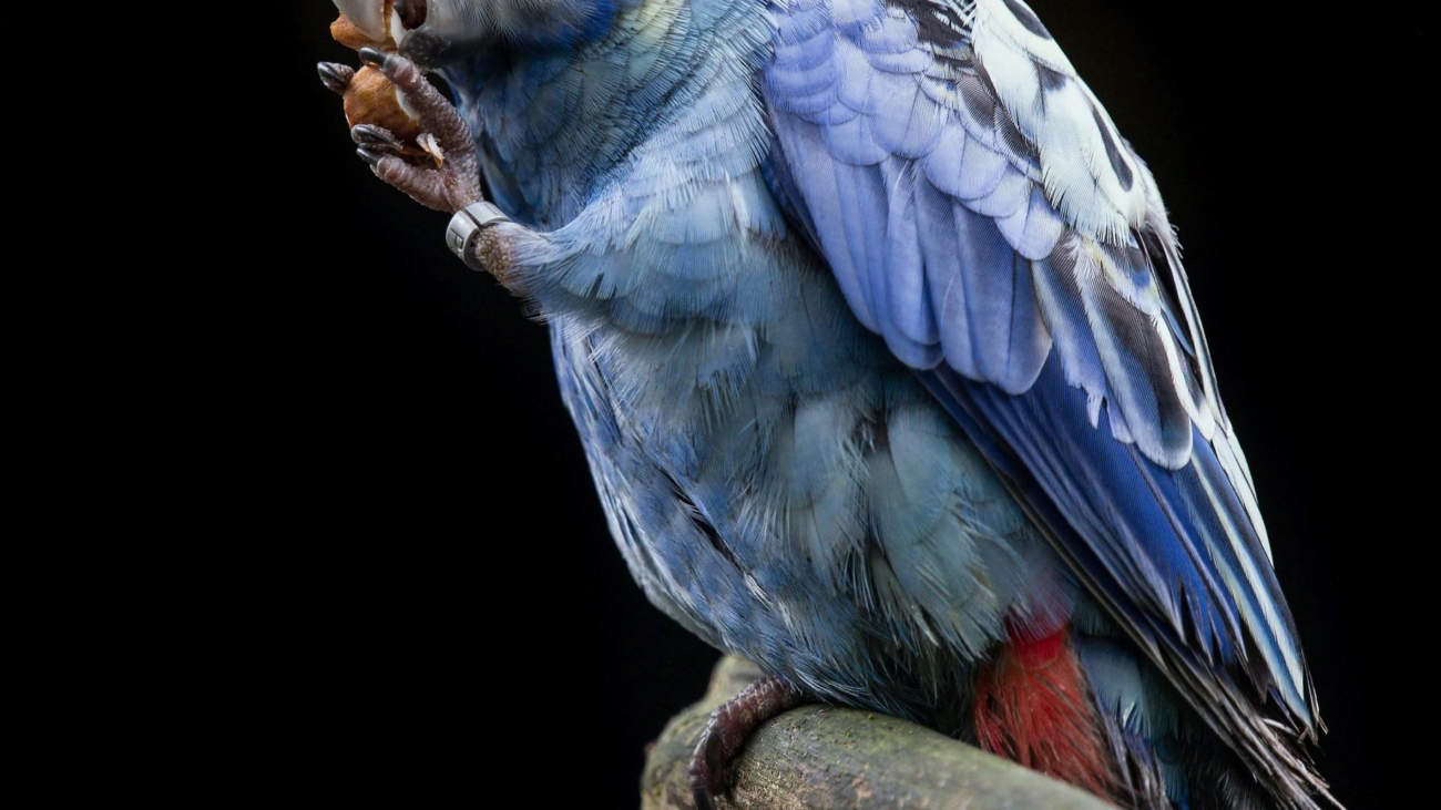 david-clode-eTXy1N0jRPI-unsplash (1)